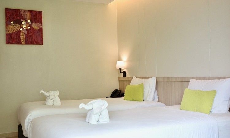 Superior Room ( No View )